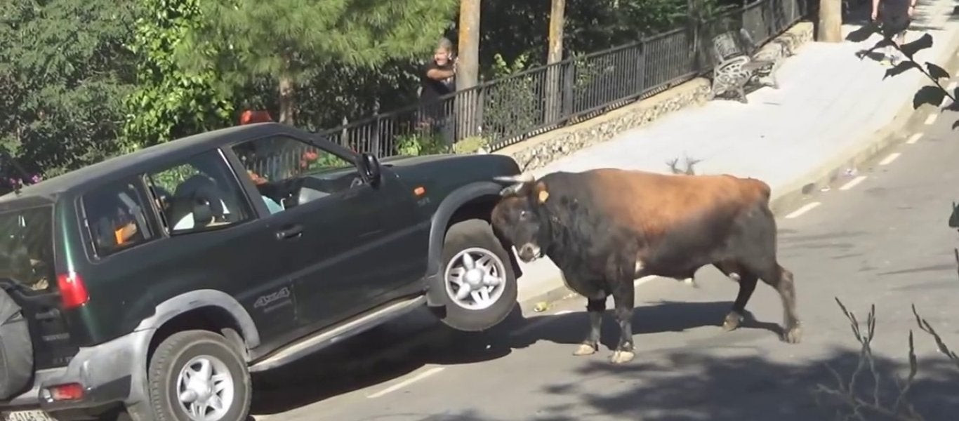 Ταύρος διαλύει ένα αυτοκίνητο 4×4! (βίντεο)